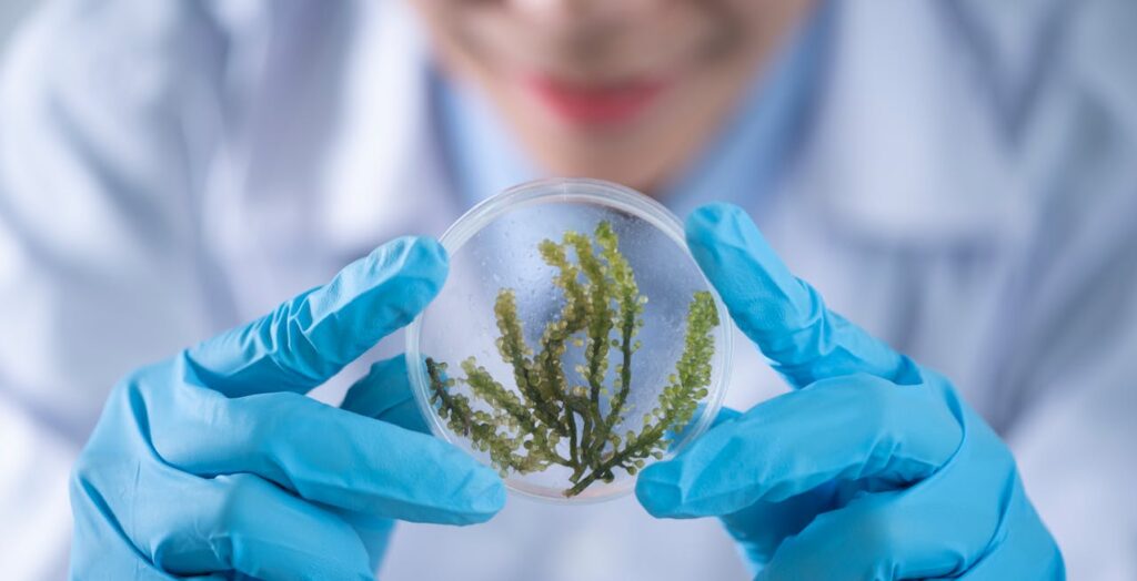 Lyme disease and pseudoscience