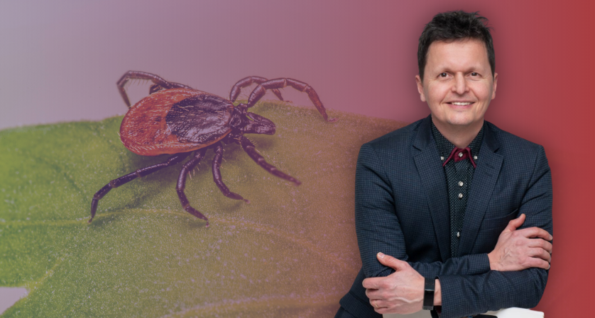 bózsik andrás pál